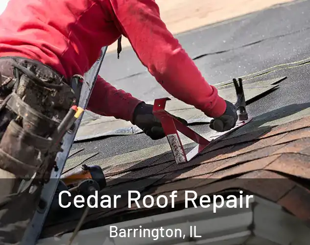  Cedar Roof Repair Barrington, IL