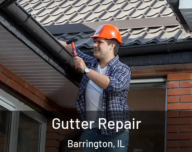  Gutter Repair Barrington, IL