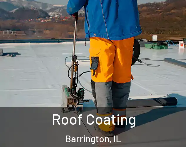  Roof Coating Barrington, IL