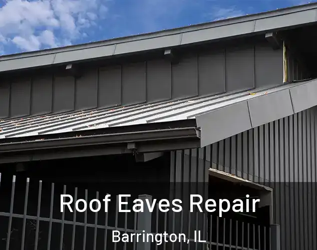  Roof Eaves Repair Barrington, IL