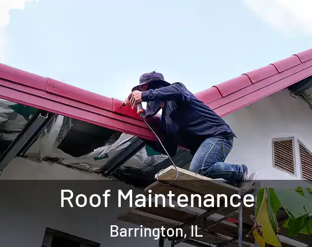  Roof Maintenance Barrington, IL