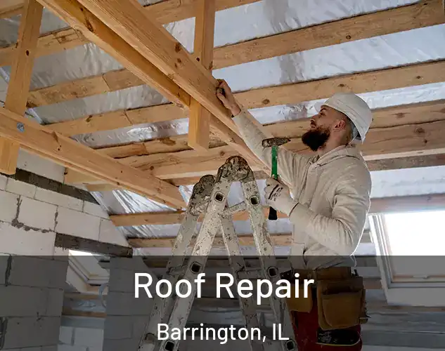  Roof Repair Barrington, IL