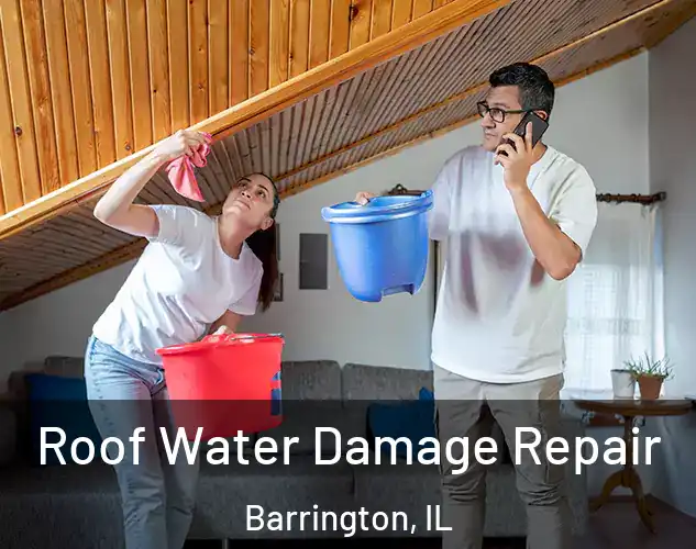  Roof Water Damage Repair Barrington, IL