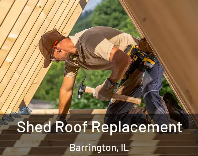  Shed Roof Replacement Barrington, IL