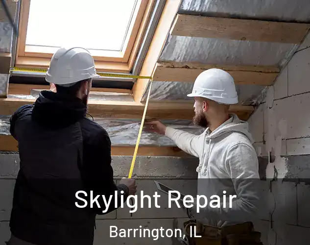  Skylight Repair Barrington, IL
