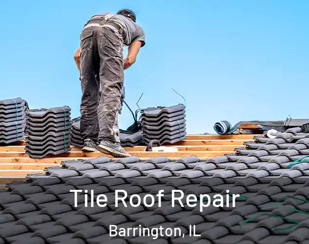  Tile Roof Repair Barrington, IL