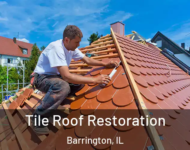  Tile Roof Restoration Barrington, IL